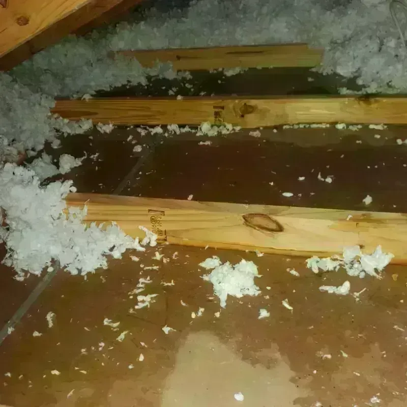 Attic Water Damage in East Grand Rapids, MI